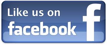 Facebook Like Us Logo