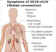 coronavirus.jpg